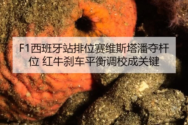 xi-ban-ya-zhan-pai-wei-sai-wei-si-ta-pan-duo-gan-wei-hong-niu-sha-che-ping-heng-diao-xiao-cheng-guan-jian-2-517.jpg